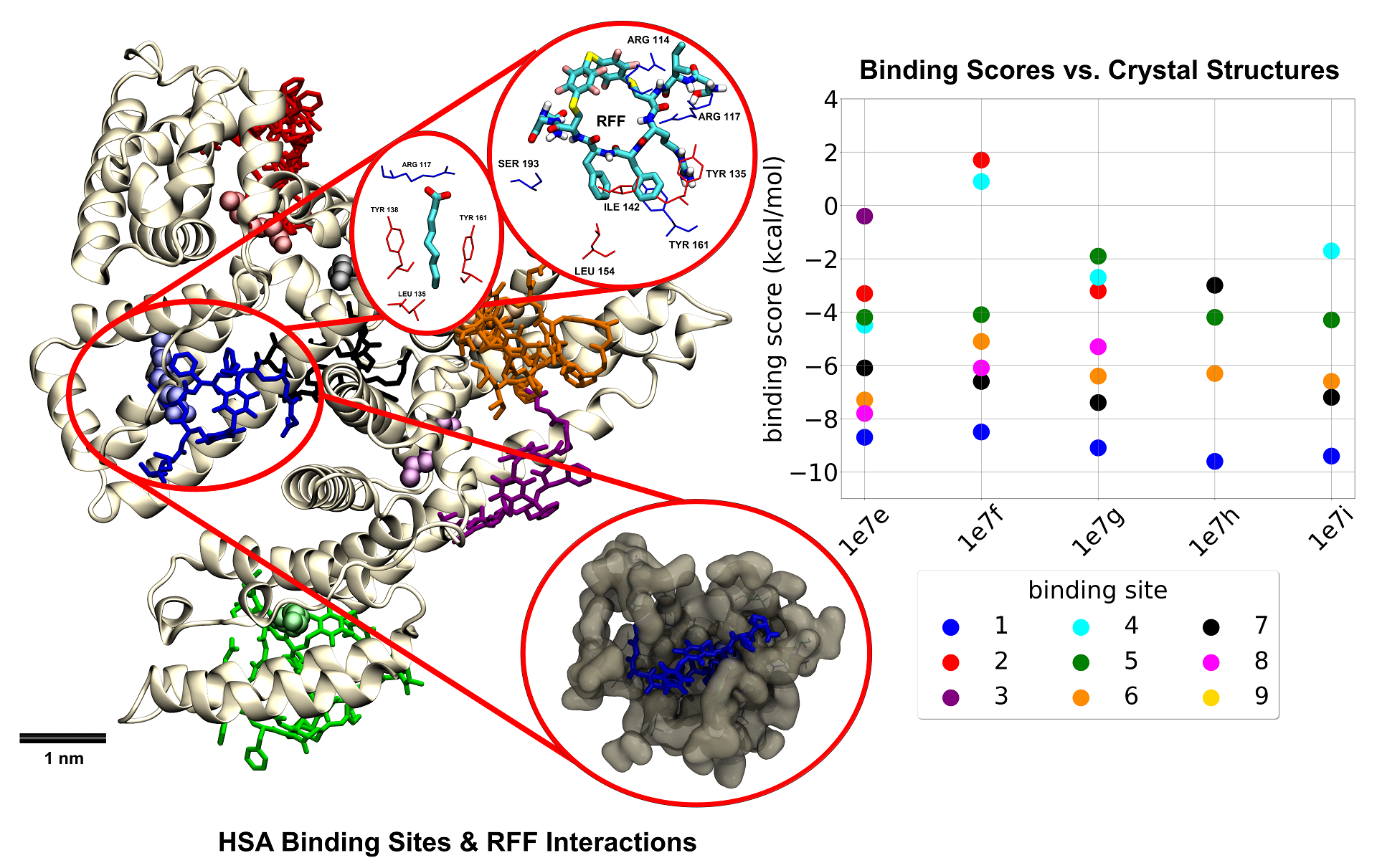 Cover image for perfluoroaryl macrocycles publication