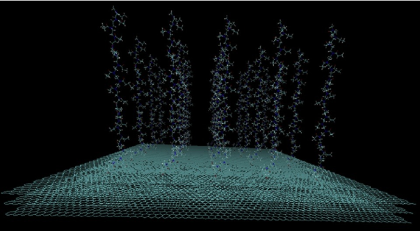 Cover image for polymer brush simulation publication