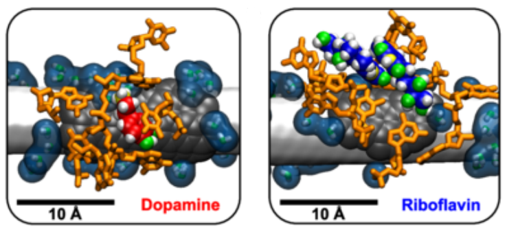 Cover image for THz hydration publication